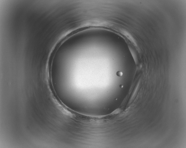 X0000068831080200605081207