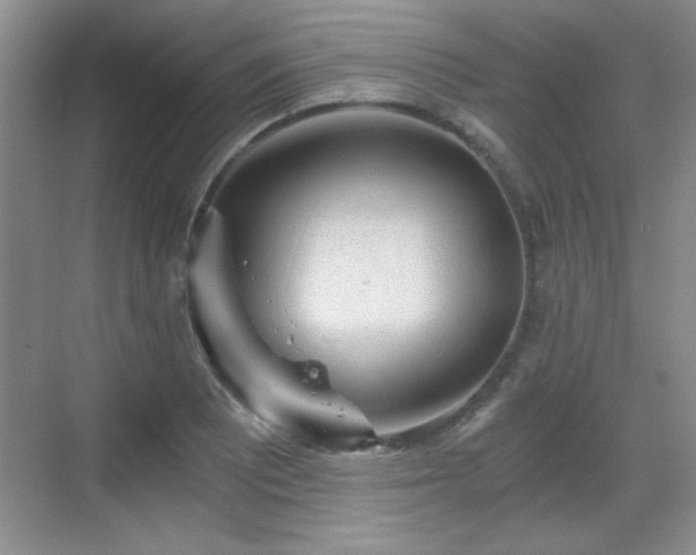 X0000068831081200605081207