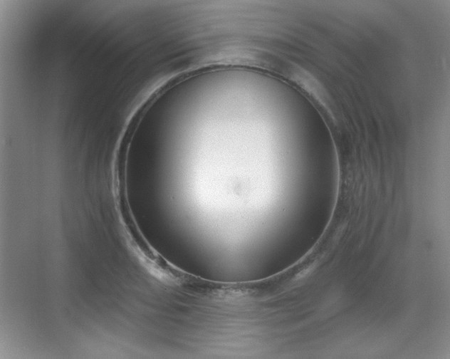 X0000068831082200605081207