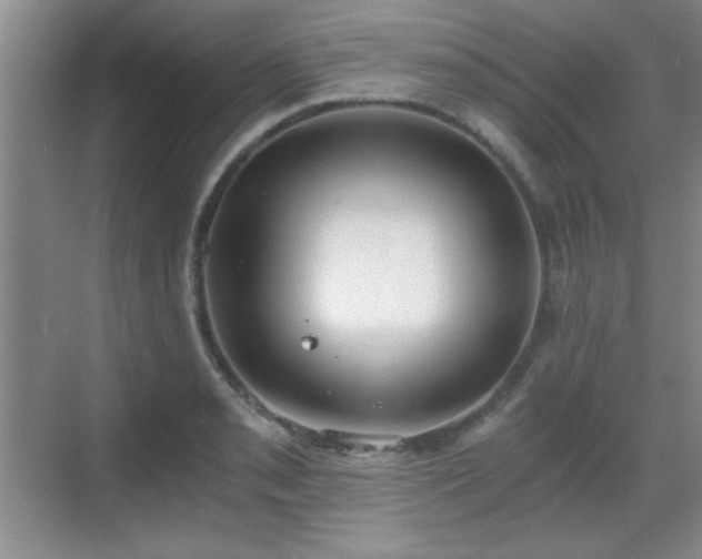 X0000068831085200605081207