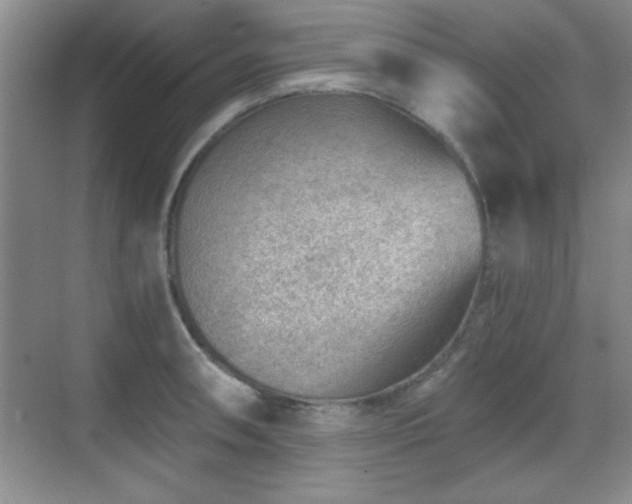 X0000068831090200605081207