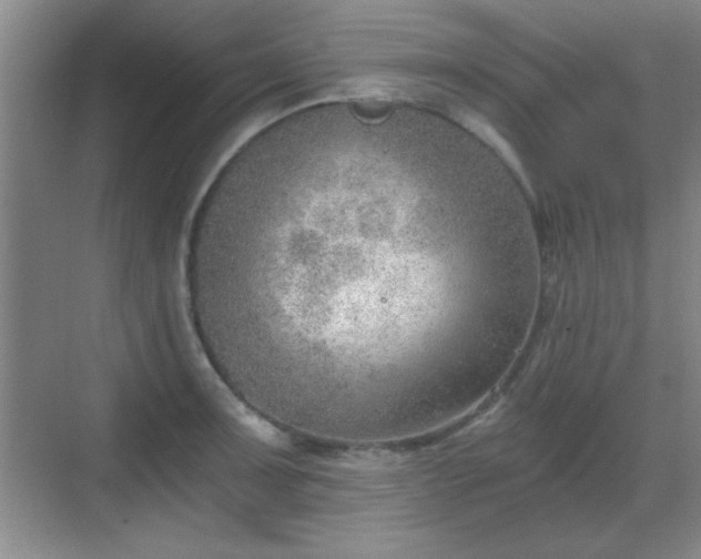 X0000068831091200605081207