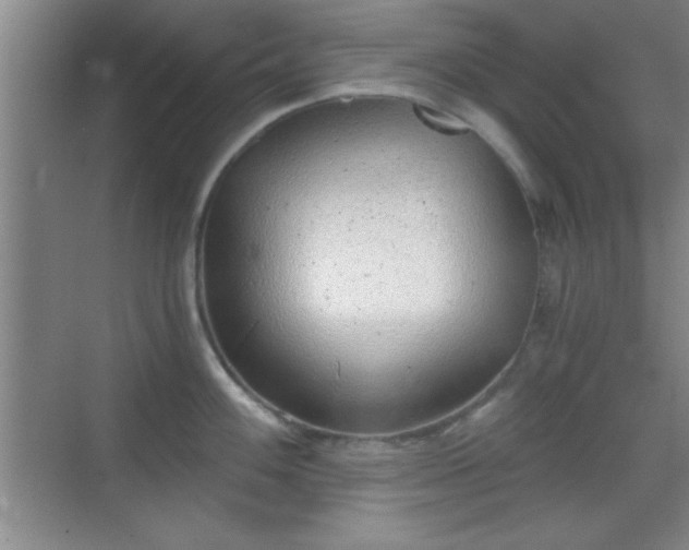 X0000068831100200605081207