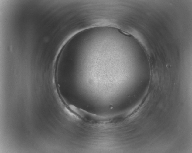 X0000068831102200605081207