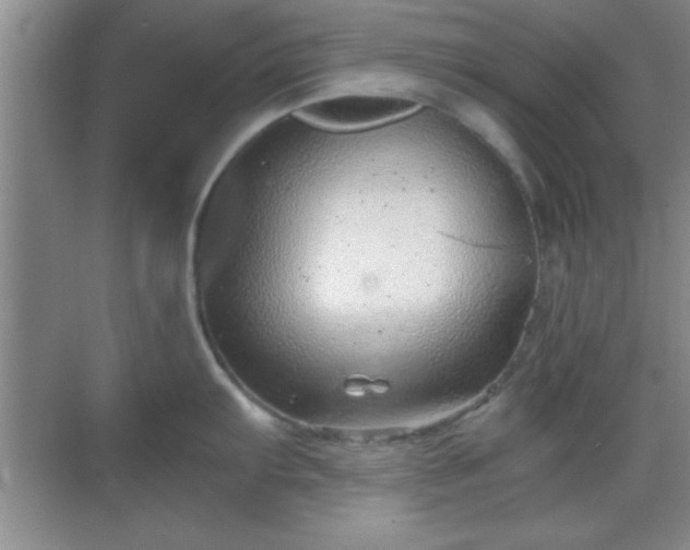 X0000068831103200605081207