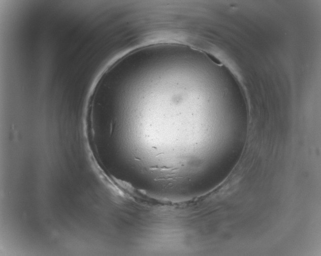 X0000068831104200605081207