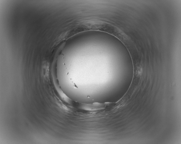 X0000068831108200605081206