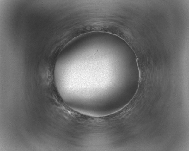 X0000068831109200605081206