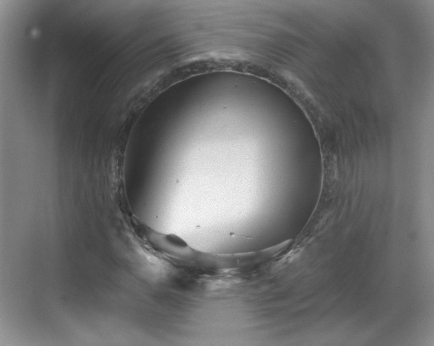 X0000068831110200605081206