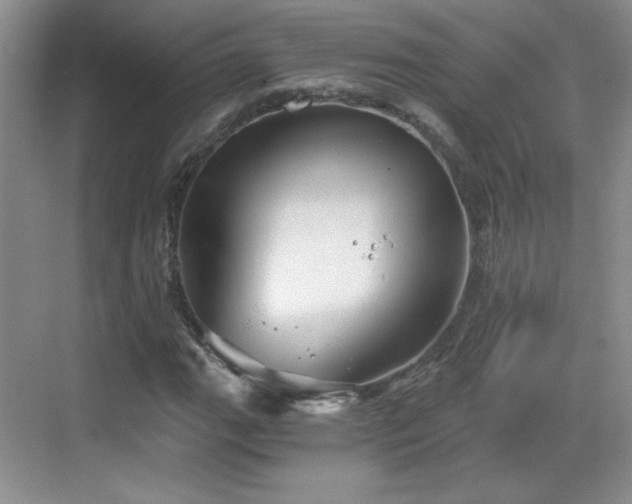 X0000068831111200605081206