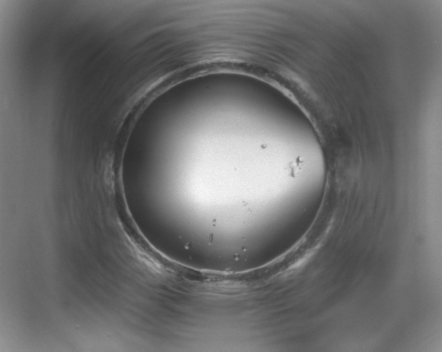 X0000068831113200605081206