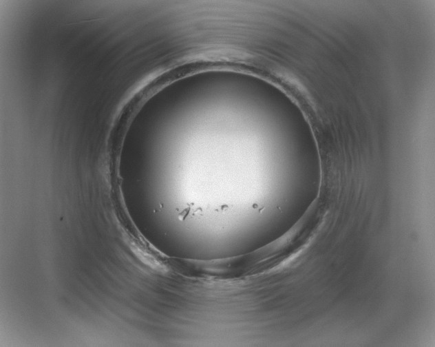 X0000068831114200605081206