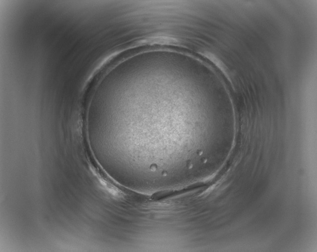 X0000068831115200605081206