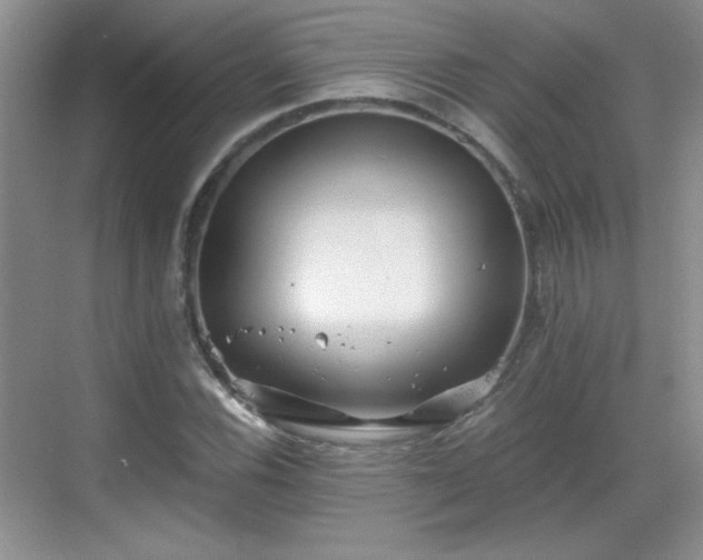 X0000068831116200605081206