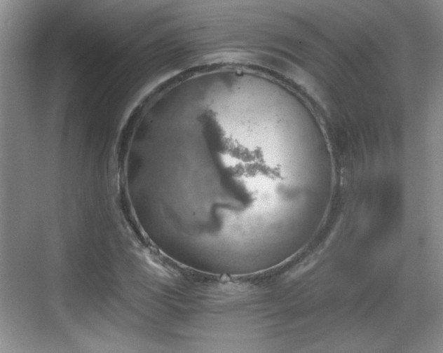 X0000068831117200605081206