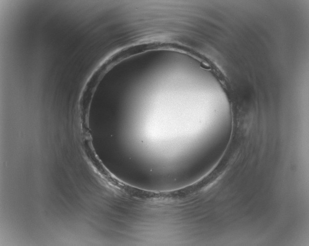 X0000068831118200605081206