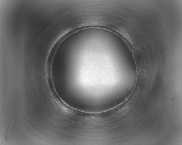 X0000068831119200605081206