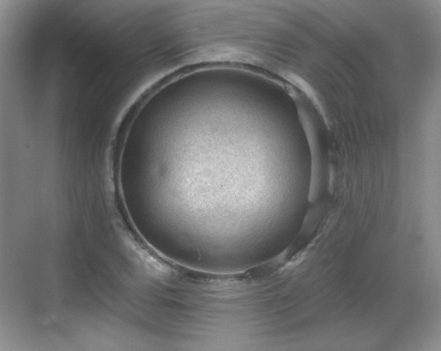 X0000068831120200605081206