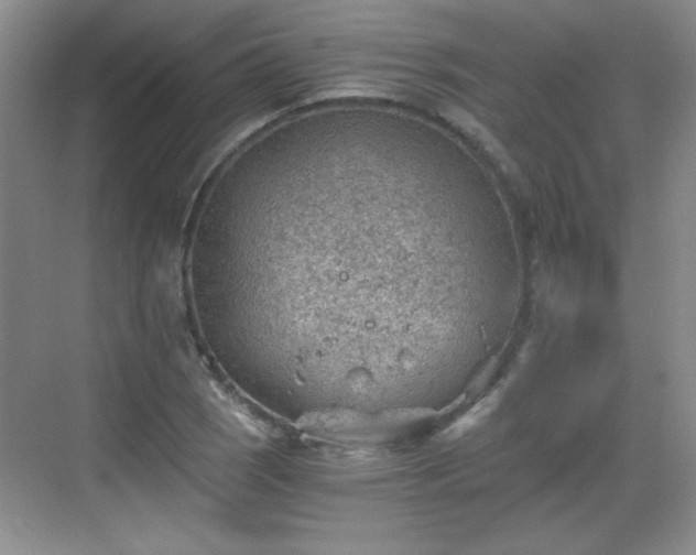 X0000068831121200605081206