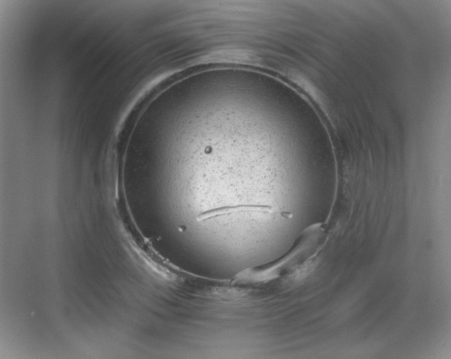 X0000068831123200605081206