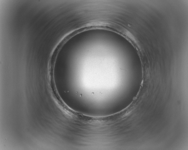 X0000068831124200605081206