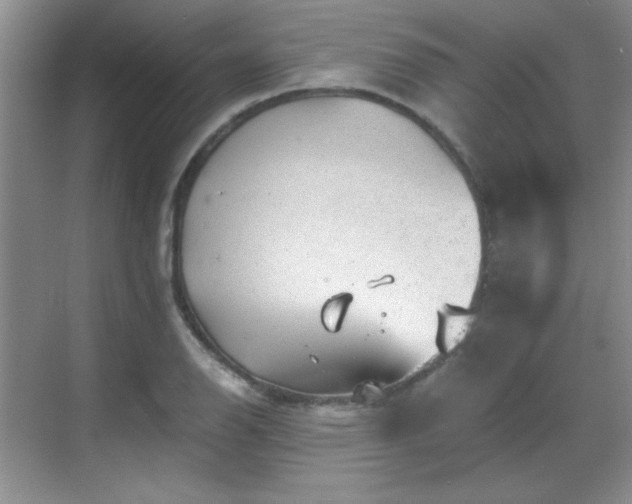 X0000068831126200605081206