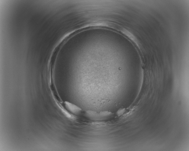 X0000068831127200605081206