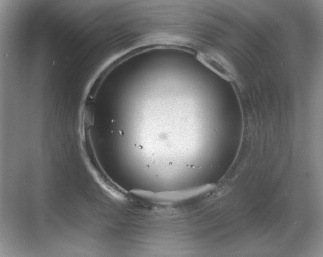 X0000068831128200605081206