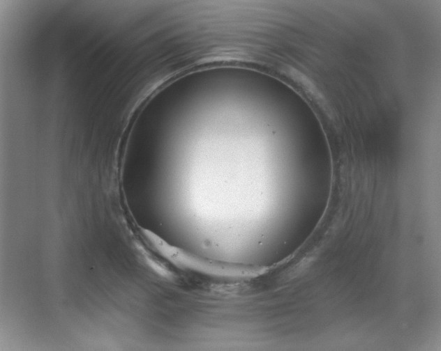 X0000068831129200605081206