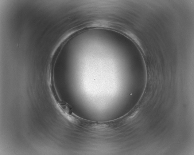 X0000068831131200605081206