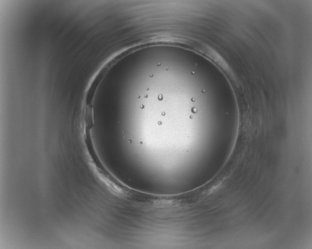 X0000068831132200605081206