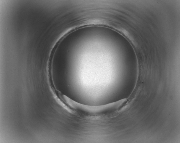 X0000068831134200605081206