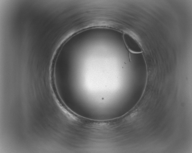 X0000068831135200605081206