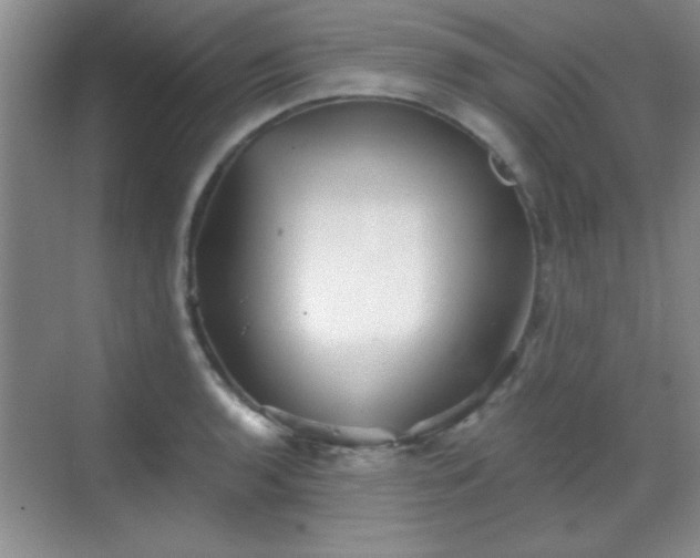 X0000068831136200605081206