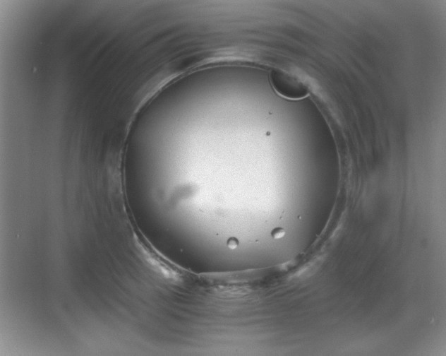 X0000068831137200605081206