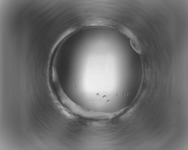 X0000068831138200605081206