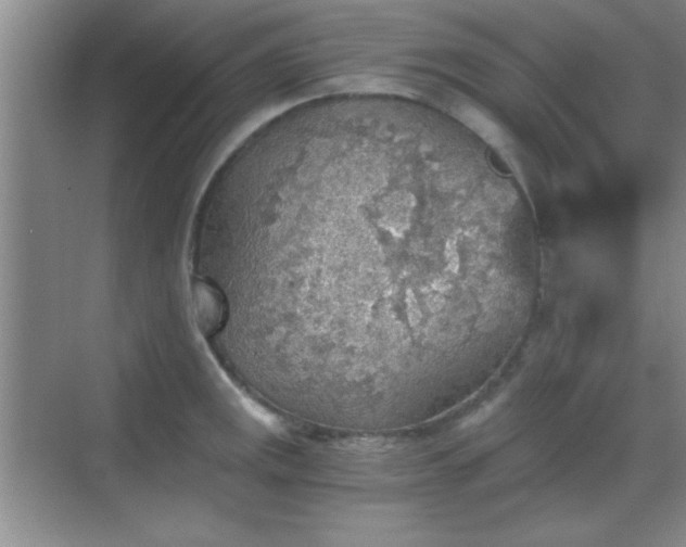 X0000068831141200605081206