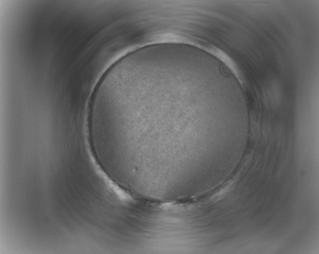 X0000068831142200605081206