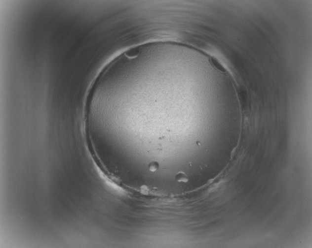 X0000068831143200605081206