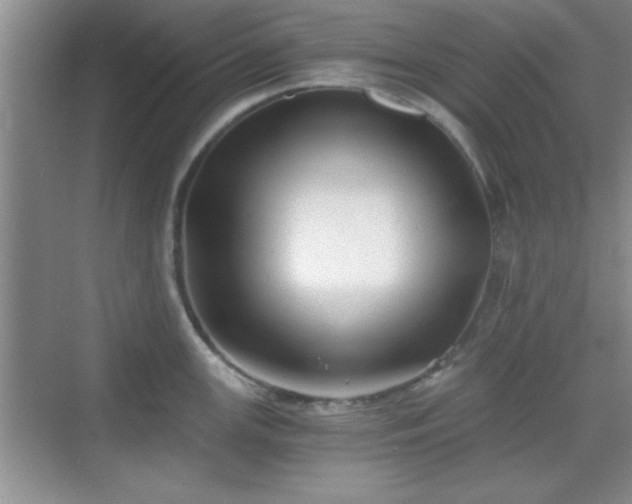 X0000068831147200605081207