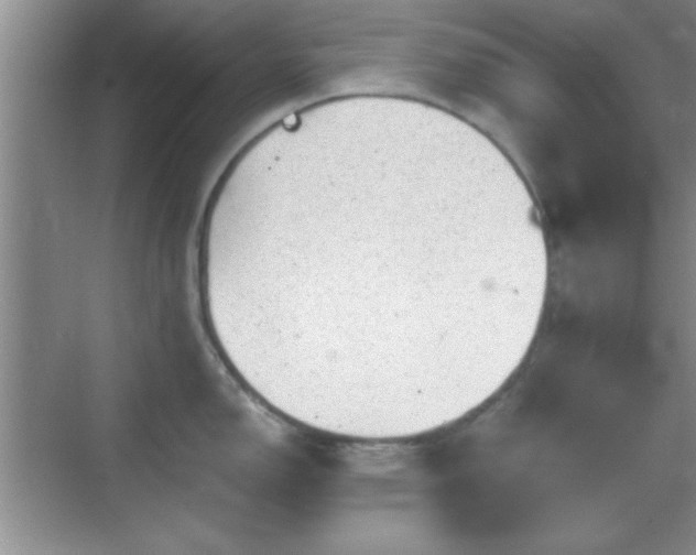 X0000068831150200605081207