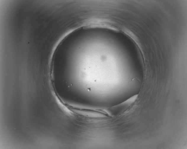 X0000068831152200605081207