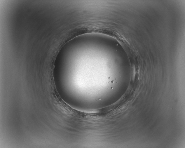 X0000068831153200605081206