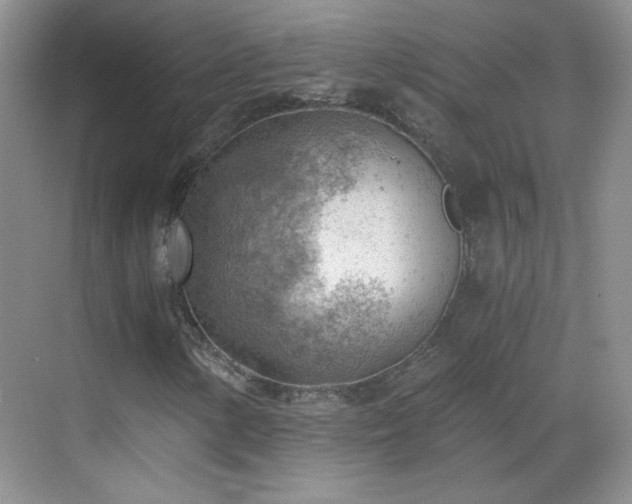 X0000068831154200605081206