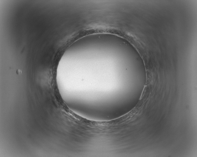 X0000068831157200605081206