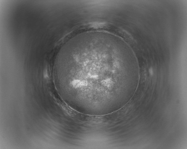 X0000068831158200605081206