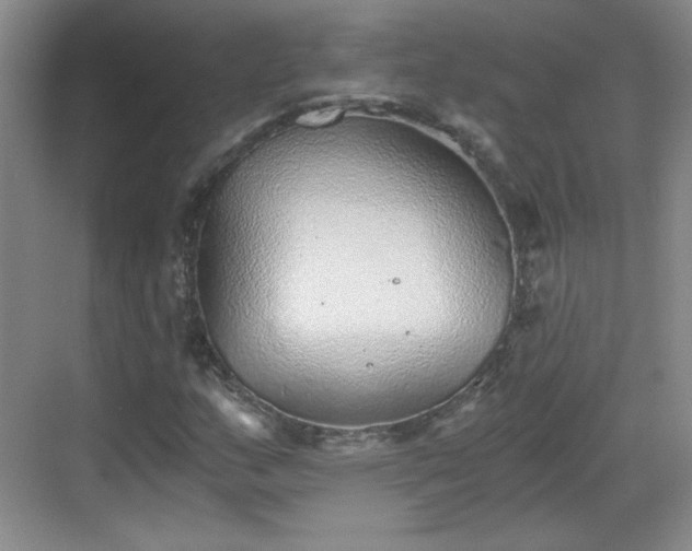 X0000068831159200605081206