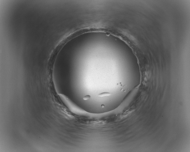 X0000068831160200605081206