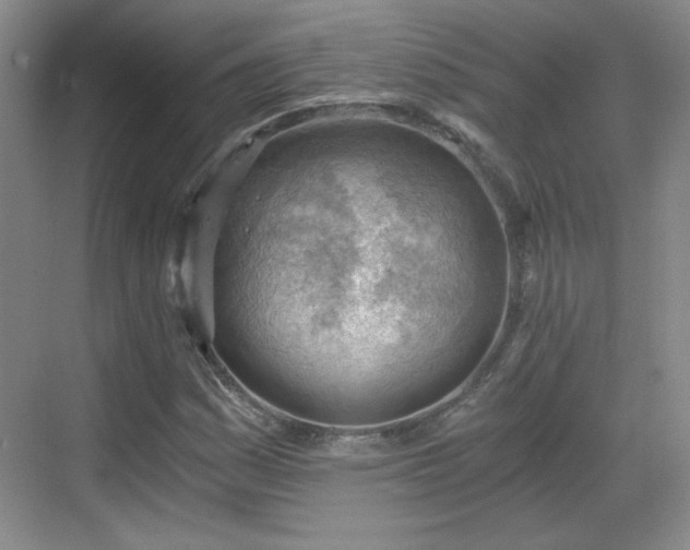 X0000068831161200605081206