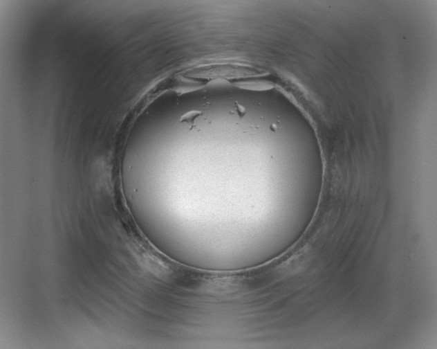 X0000068831162200605081206